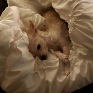 Meet your Posher, Amber